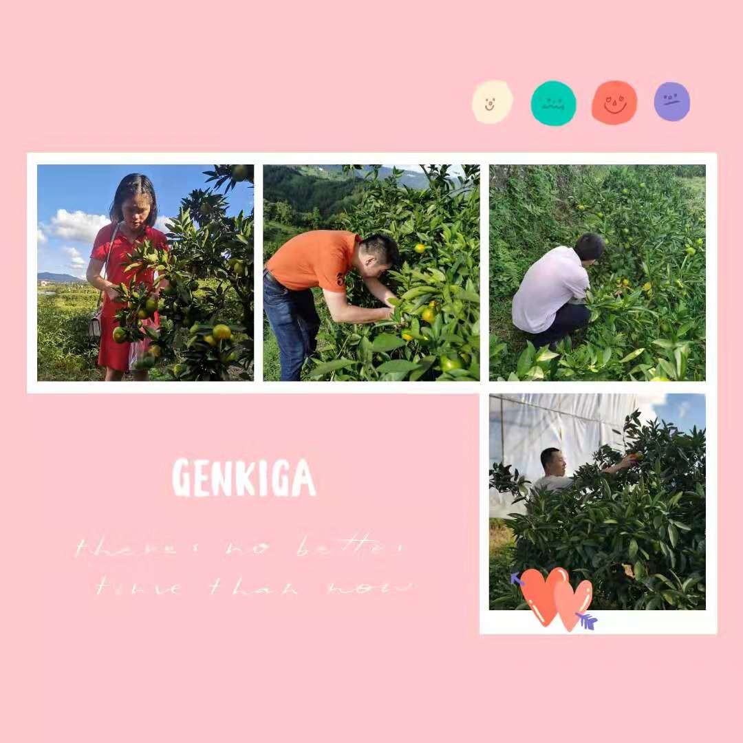 1631356053137159.jpg 2-2.jpg